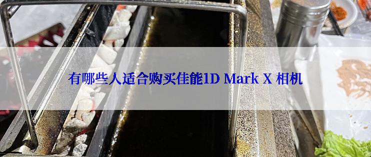 有哪些人适合购买佳能1D Mark X 相机