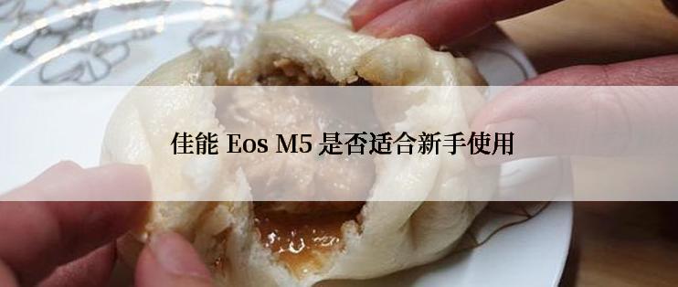  佳能 Eos M5 是否适合新手使用