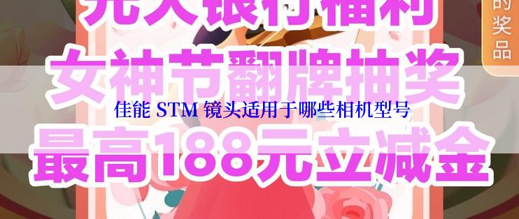  佳能 STM 镜头适用于哪些相机型号