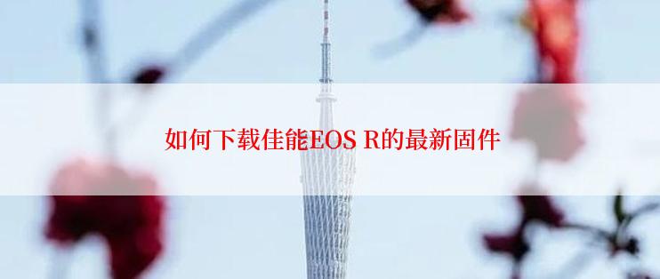  如何下载佳能EOS R的最新固件