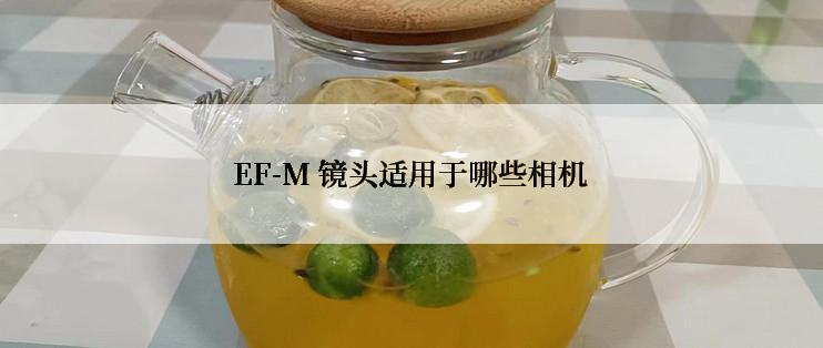 EF-M 镜头适用于哪些相机