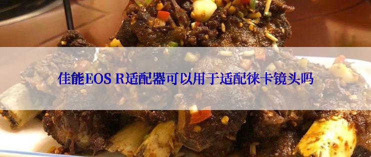 佳能EOS R适配器可以用于适配徕卡镜头吗