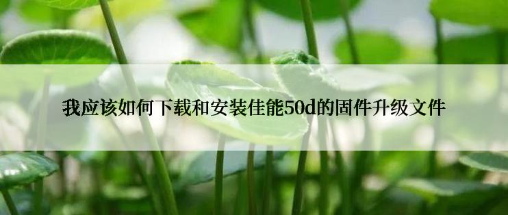 我应该如何下载和安装佳能50d的固件升级文件