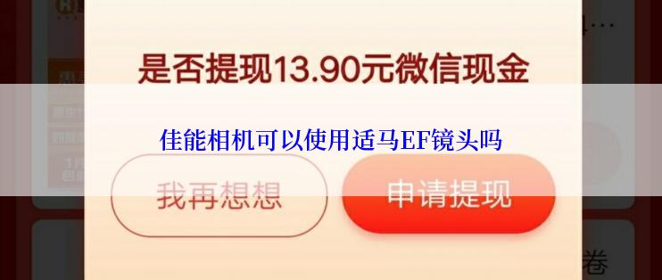 佳能相机可以使用适马EF镜头吗