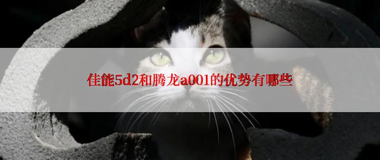 佳能5d2和腾龙a001的优势有哪些