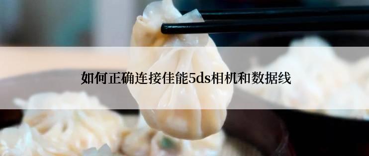  如何正确连接佳能5ds相机和数据线