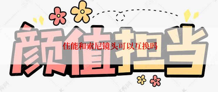  佳能和索尼镜头可以互换吗