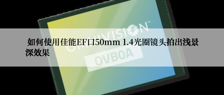  如何使用佳能EF口50mm 1.4光圈镜头拍出浅景深效果