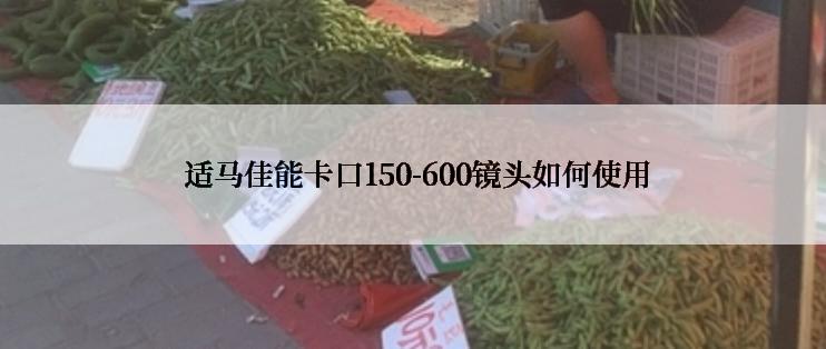  适马佳能卡口150-600镜头如何使用