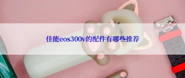 佳能eos300v的配件有哪些推荐