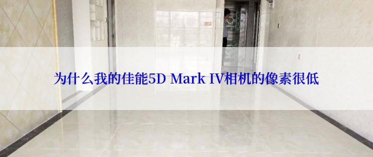 为什么我的佳能5D Mark IV相机的像素很低