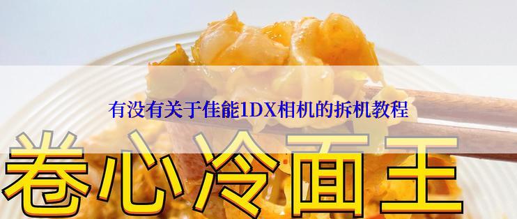 有没有关于佳能1DX相机的拆机教程