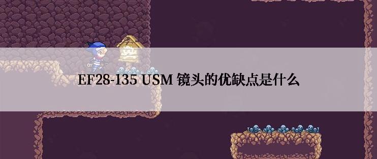 EF28-135 USM 镜头的优缺点是什么