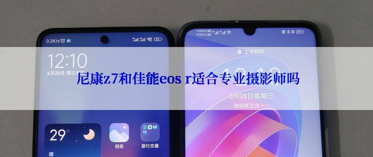  尼康z7和佳能eos r适合专业摄影师吗