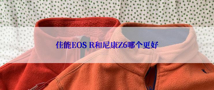 佳能EOS R和尼康Z6哪个更好