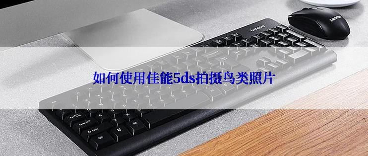 如何使用佳能5ds拍摄鸟类照片