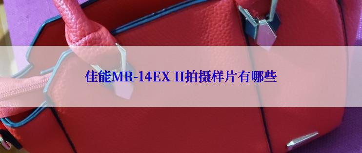 佳能MR-14EX II拍摄样片有哪些