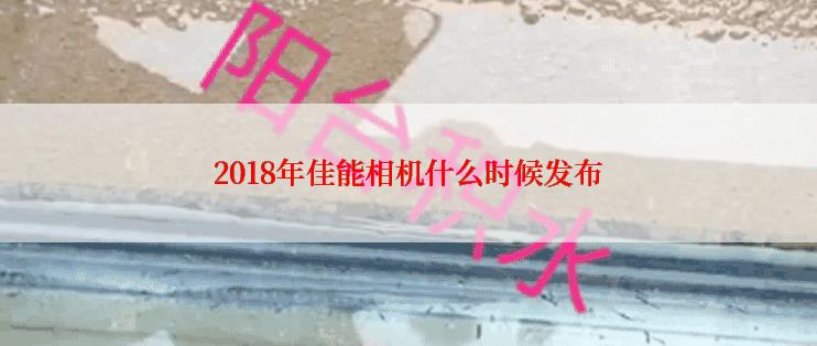 2018年佳能相机什么时候发布