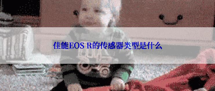 佳能EOS R的传感器类型是什么