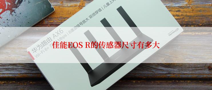 佳能EOS R的传感器尺寸有多大