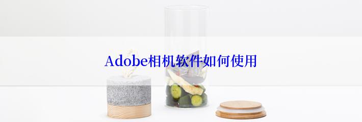 Adobe相机软件如何使用