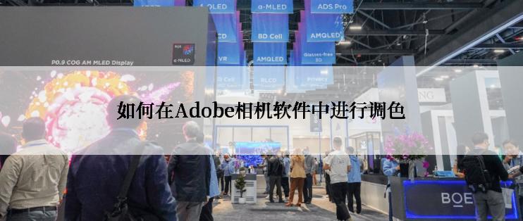 如何在Adobe相机软件中进行调色