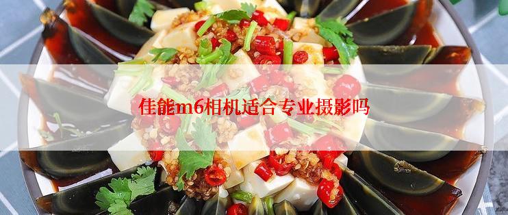 佳能m6相机适合专业摄影吗