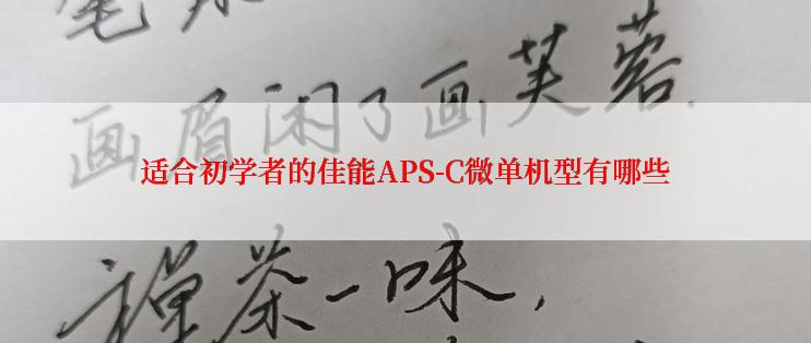 适合初学者的佳能APS-C微单机型有哪些