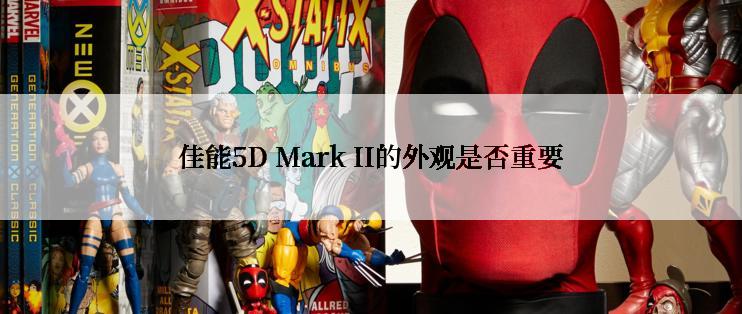 佳能5D Mark II的外观是否重要