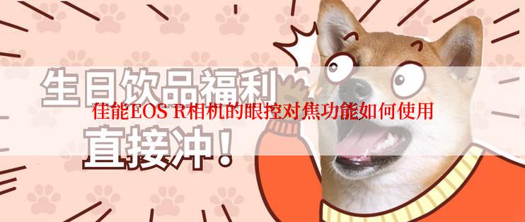 佳能EOS R相机的眼控对焦功能如何使用