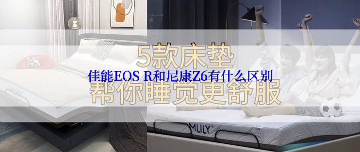 佳能EOS R和尼康Z6有什么区别