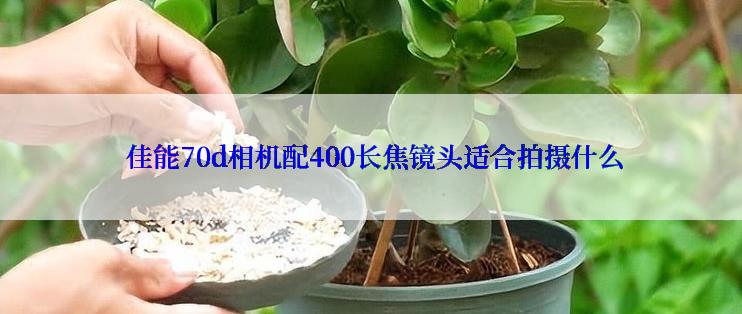  佳能70d相机配400长焦镜头适合拍摄什么