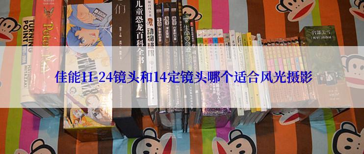  佳能11-24镜头和14定镜头哪个适合风光摄影