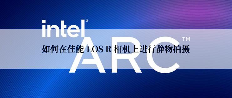 如何在佳能 EOS R 相机上进行静物拍摄