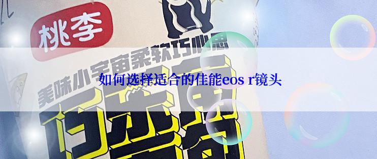  如何选择适合的佳能eos r镜头