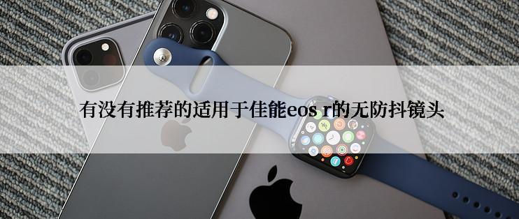  有没有推荐的适用于佳能eos r的无防抖镜头