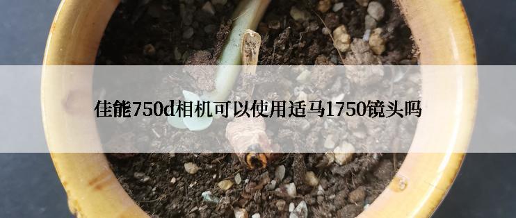 佳能750d相机可以使用适马1750镜头吗