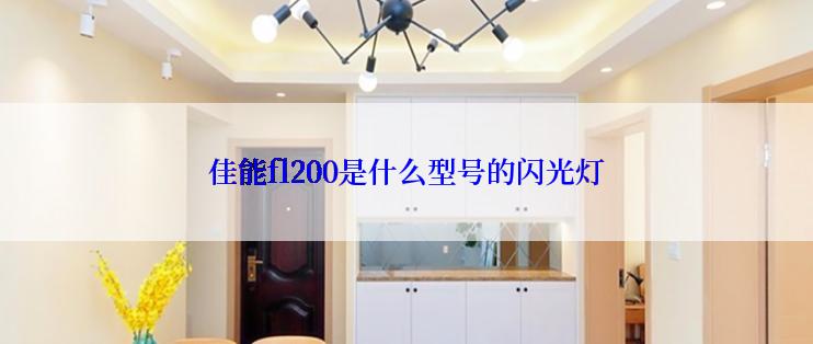 佳能fl200是什么型号的闪光灯