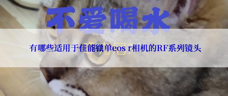  有哪些适用于佳能微单eos r相机的RF系列镜头