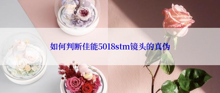 如何判断佳能5018stm镜头的真伪