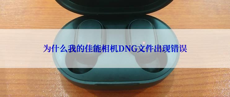 为什么我的佳能相机DNG文件出现错误