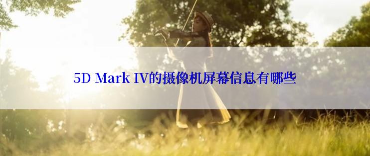 5D Mark IV的摄像机屏幕信息有哪些