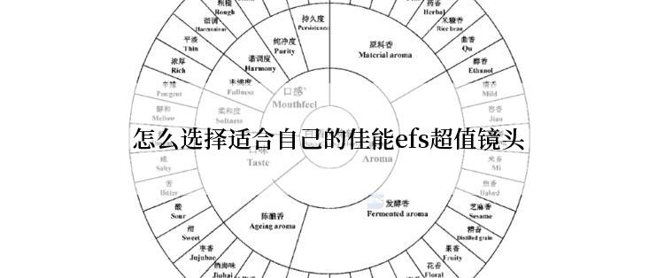 怎么选择适合自己的佳能efs超值镜头