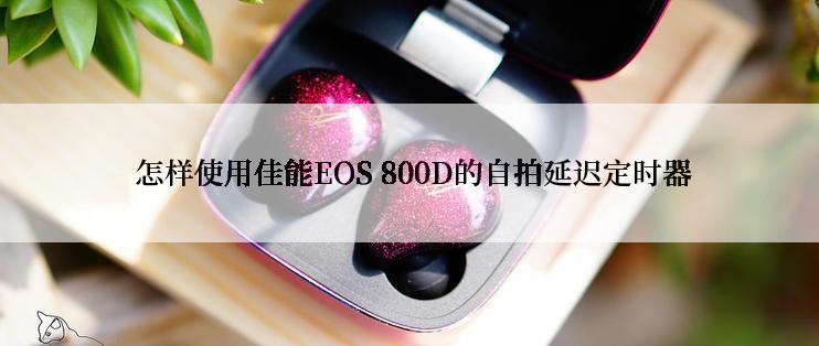  怎样使用佳能EOS 800D的自拍延迟定时器