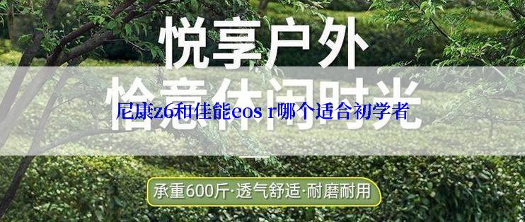 尼康z6和佳能eos r哪个适合初学者