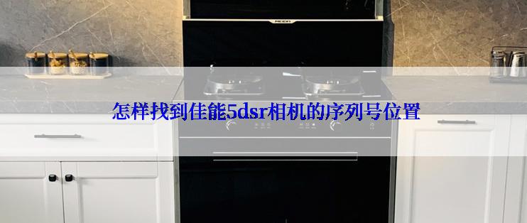  怎样找到佳能5dsr相机的序列号位置