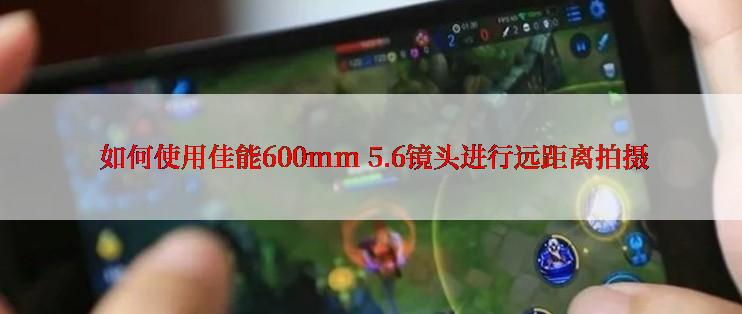  如何使用佳能600mm 5.6镜头进行远距离拍摄