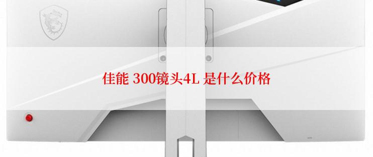 佳能 300镜头4L 是什么价格