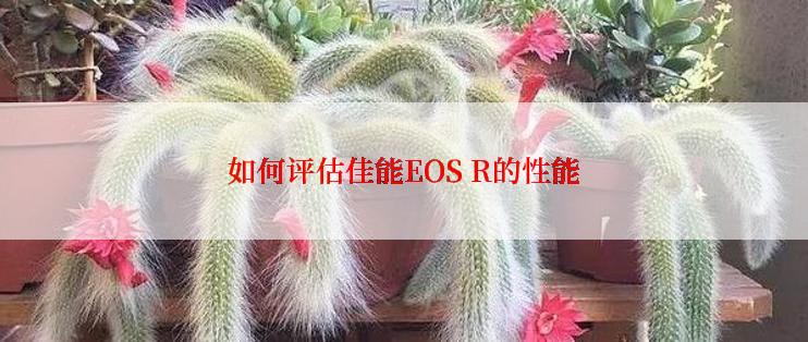 如何评估佳能EOS R的性能