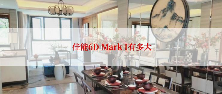  佳能6D Mark I有多大